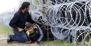 ادعای وزارت دفاع ترکیه: یونان، مهاجران را برهنه به ترکیه فرستاد