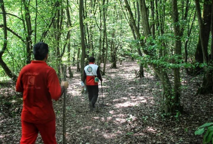 مفقود شدن پیرمرد ۸۵ ساله در جنگل «کبودوال» / عملیات جستجو همچنان ادامه دارد