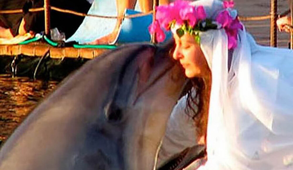 ازدواج عجیب دلفین با زن