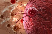 یافته‌های جدید و خطرناک درباره سلول‌های سرطانی