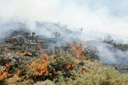 جنگل ارسنجان در محاصره آتش؛ خبری از ستاد بحران نیست!