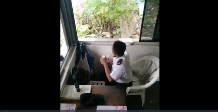 ویدیو با مزه از تقاضا میمون گرسنه از مرد شکمو برای دریافت ساندویچ