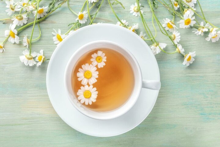 خواص معجزه‌آسای چای بابونه برای بدن؛ از درمان زخم و ورم معده تا تنظیم قند خون