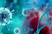 مخزن ویروس کرونا در بدن انسان کشف شد