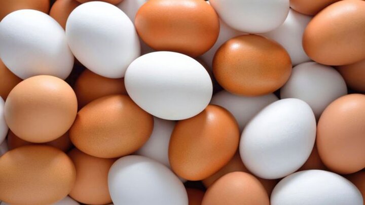 مصرف تخم مرغ برای چه کسانی مفید است؟
