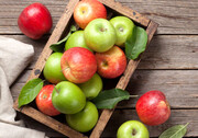 خواص درمانی سیب ترش برای بدن؛ از کاهش وزن و کلسترول تا درمان پوکی استخوان / عکس