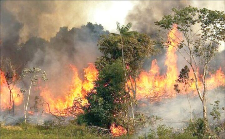 داغ جنگل‌سوزی! / بیش از ۱۷ هزار آتش سوزی در ۸ سال و ۲۴۰۰ میلیارد تومان خسارت نقدی