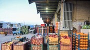 کاهش نسبی قیمت میوه‌ها در بازار