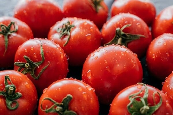 مضرات مصرف بیش از حد گوجه فرنگی؛ از درد مفصل تا رفلاکس اسید معده