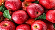مضرات باورنکردنی زیاده‌روی در مصرف سیب؛ از مشکلات گوارشی و مسمومیت تا اضافه وزن