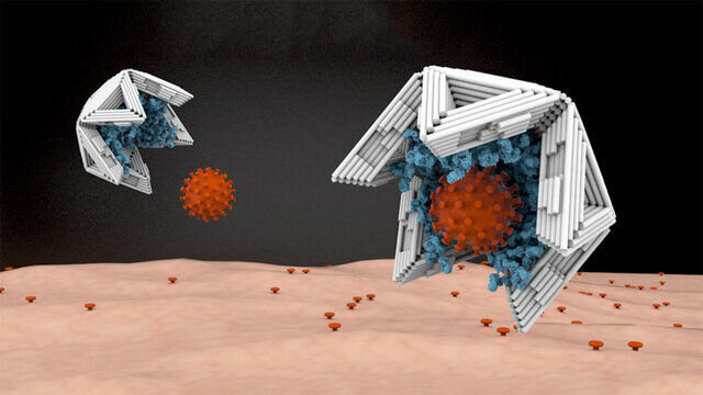 کشف روش جدید برای عقیم کردن ویروس‌ها!