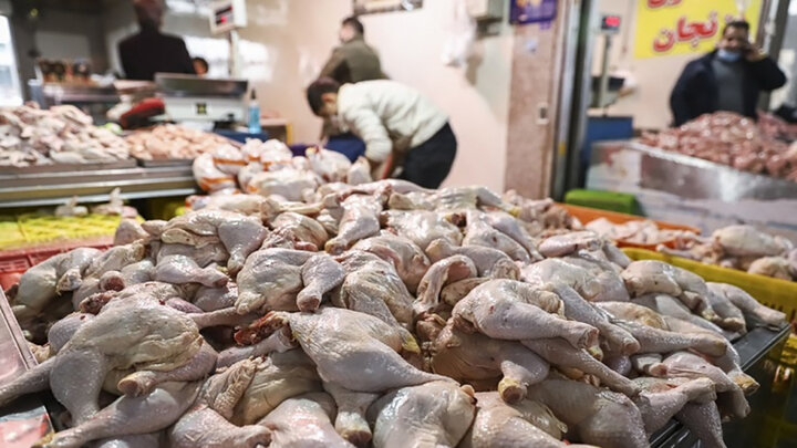 آیا ماجرای رسیدن قیمت مرغ به ۱۰۰ هزار تومان واقعیت دارد؟