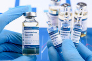 ساخت واکسن ایرانی-استرالیایی کرونا به کجا رسید؟