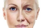 خبر خوب پژوهشگران انگلیسی درباره کشف ترکیبات ضد پیری
