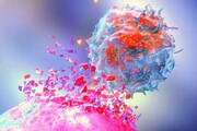 ساخت دارویی جدید برای نابودی سرطان سینه