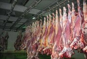 آیا افزایش قیمت گوشت در ماه‌های آینده صحت دارد؟