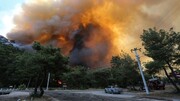 مناطق آسیب‌دیده از آتش‌سوزی جنگل‌ها را منطقه فاجعه اعلام کرده‌ایم
