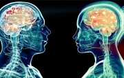 حقایق جالب درباره تفاوت مغز زنان با مردان