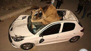 تصاویری دلخراش از تصادف مرگبار ۲ شتر با پژو ۲۰۷