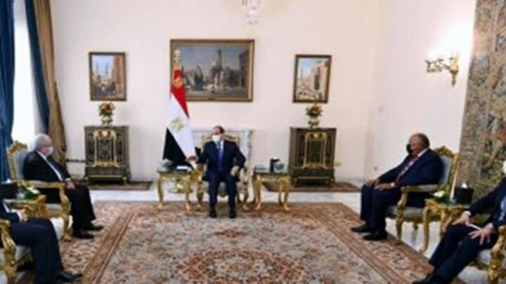 مصر و الجزائر برای حمایت از رییس‌جمهور تونس توافق کردند