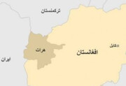 انفجار در هرات با دوازده کشته و زخمی