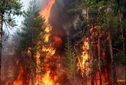 دلیل آتش‌سوزی‌های سریالی در جنگل‌های ایران چیست؟