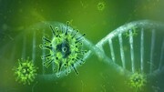 ویروس کرونا به DNA فرد مبتلا وارد می‌شود؟