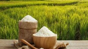 ورود برنج‌های هسته‌ای شمال به بازار