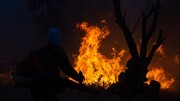 جنگل‌های فیروزآباد فارس همچنان در آتش می‌سوزد / مرگ ۴ مرد روستایی در راه خاموش کردن آتش