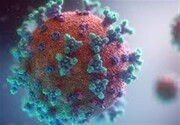 یک پیش بینی مهم و خطرناک درباره آینده ویروس کرونا