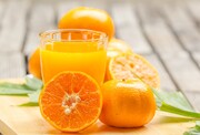 فواید و مضرات پرتقال برای سلامتی؛ از کنترل کلسترول خون تا کاهش خطر حمله قلبی