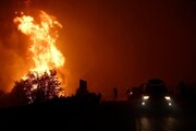 آتش‌سوزی مرگبار در جنگل‌های الجزایر با ۴۲ کشته