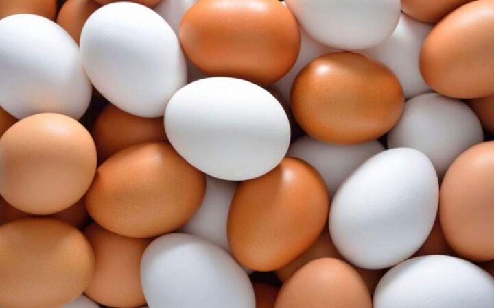 قیمت هر شانه تخم مرغ به بیش از ۴۵ هزار تومان رسید