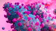 اعتراف بهداشت جهانی درباره منشا ویروس کرونا برای نخستین بار