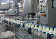 شرکت های لبنی باز هم محصولاتشان را گران کردند / قیمت شیرخام به ۷۰۰۰ تومان می رسد؟