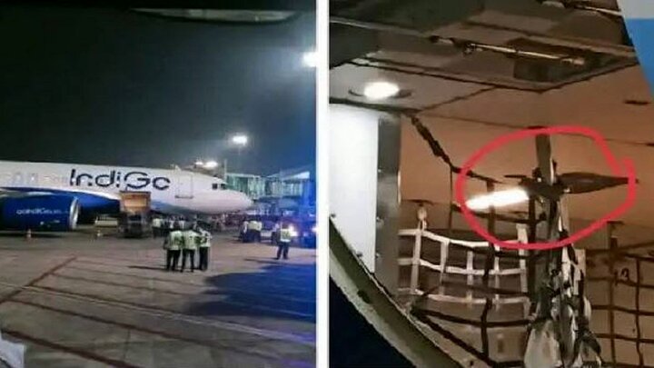 ترس شدید مسافران به دلیل حضور مار در هواپیما / فیلم