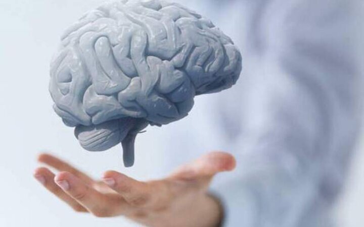 محققان انگلیسی تاثیر خطرناک کرونا را بر مغز کشف کردند