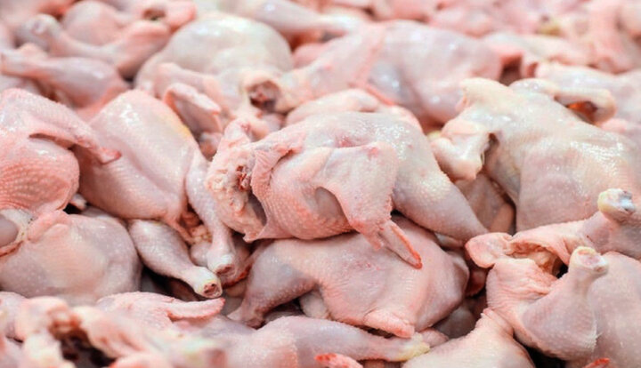 رروزانه ۳۳۰ تن گوشت مرغ در آذربایجان غربی عرضه می‌شود