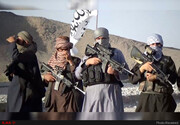 طالبان: با زور نمی‌خواهیم وارد کابل شویم