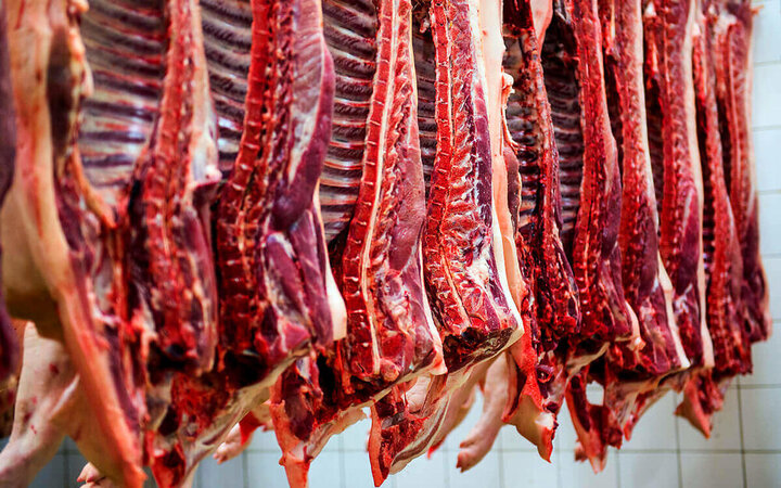 جدیدترین قیمت گوشت قرمز در بازار /  هرکیلو گوشت گوسفندی ۱۳۰ تا ۱۴۰ هزارتومان