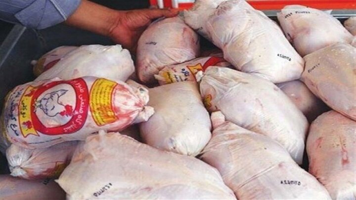 ۲۳۴ کیلوگرم مرغ فاسد در اسدآباد کشف شد