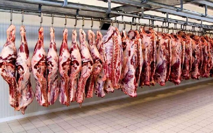 گوشت گوساله در بازار چند؟
