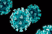 نظریه جدید درباره عامل پیدایش ویروس کرونا