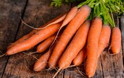 قیمت هویج هفته آینده به زیر ۱۰ هزار تومان می‌رسد