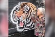 نقاشی حیرت‌انگیز پیرزن تایلندی از چهره ببر وحشی بر روی دیوار! / فیلم