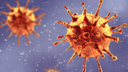 سویه بتا ویروس کرونا چگونه است و چه خطرهایی دارد؟