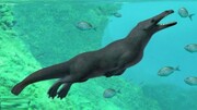 کشف نهنگ عجیب ۴۳میلیون ساله در مصر / عکس