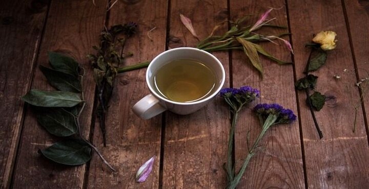 خواص شگفت‌انگیز چای انبه برای سلامتی؛ از کنترل دیابت و بهبود زخم معده تا پیشگیری از سرطان