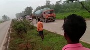 اقدام عجیب فیل عصبانی برای واژگونی کامیون در وسط جاده / فیلم