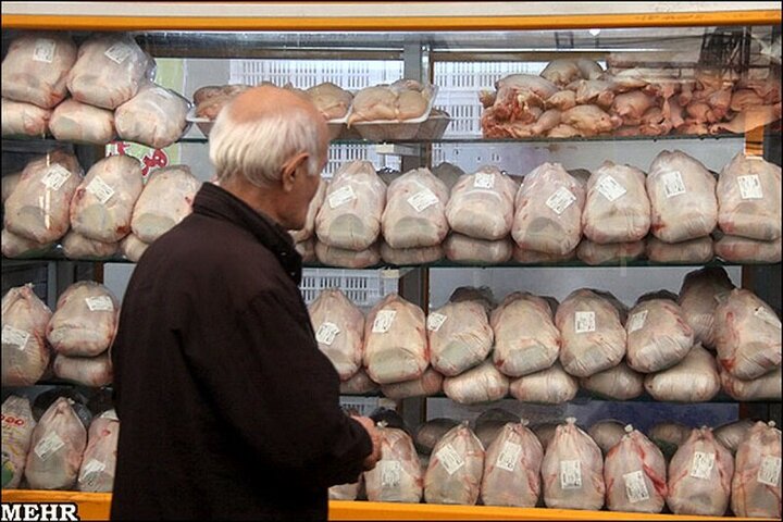 راهکارهای وزیر جدید جهاد کشاورزی برای کنترل بازار مرغ